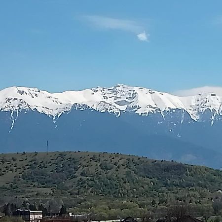 Le Nid D'Adam Appartement Zărneşti Buitenkant foto