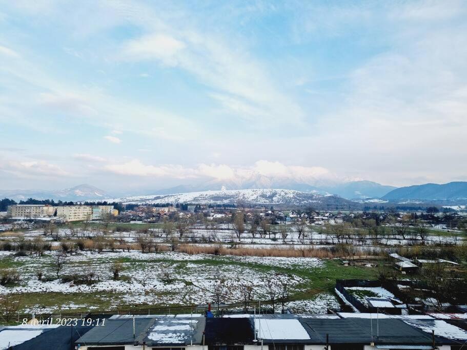Le Nid D'Adam Appartement Zărneşti Buitenkant foto