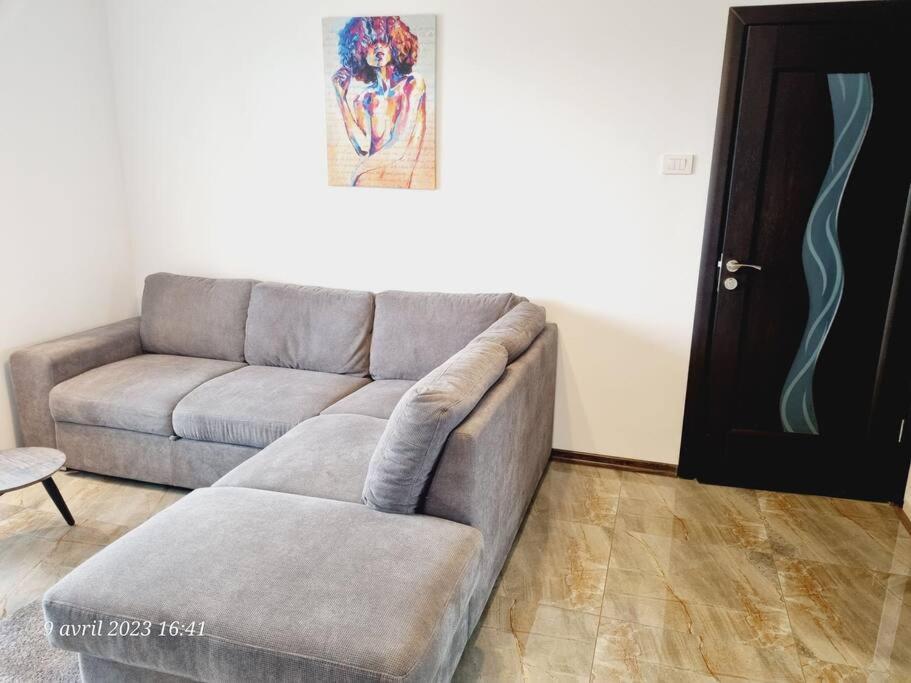 Le Nid D'Adam Appartement Zărneşti Buitenkant foto