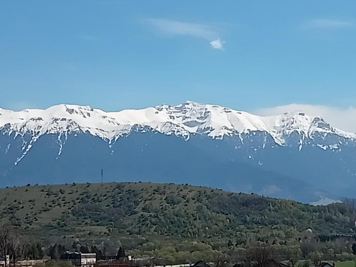Le Nid D'Adam Appartement Zărneşti Buitenkant foto